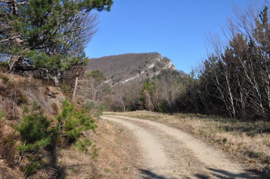 Entre Le Pertuis et le Pas de l'Echelette (Roche Colombe)