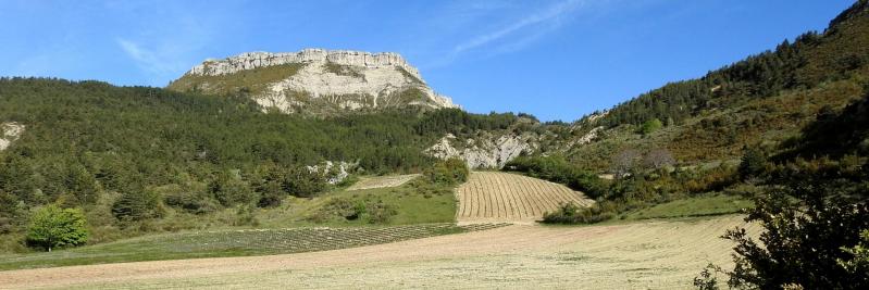 La montagne de Chamouse