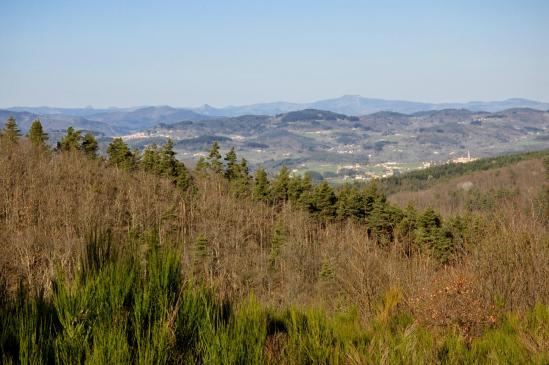 Depuis le Serre de Barrite on domine le plateau de Vernoux-en-Vivarais