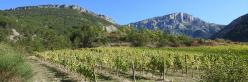 La montagne du Glandasse vue depuis les vignobles de Laval-d'Aix