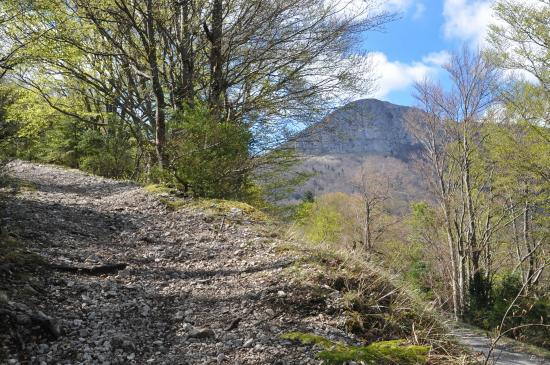 Montée vers le col de Tourniol (vue sur Pierre Chauve)