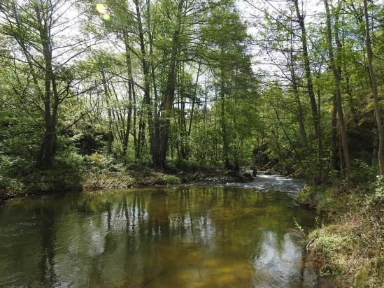 1ère traversée de la Daronne à l'aplomb du moulin de Victouron