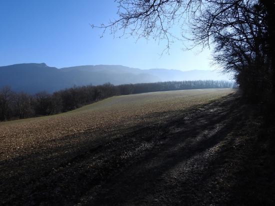 Sur le plateau entre Les Picards et le col Alexandre