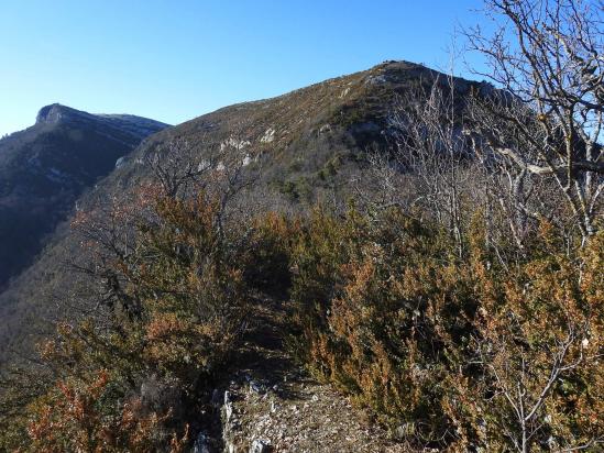 Sur le fil de la crête de la montagne de Sauveginoux à l'approche du Clos du Puits