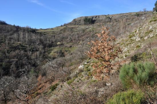 Montée vers le hameau du Chier sous la coulée volcan ique de La Fare