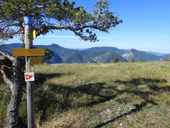 Sur la prairie du (pseudo...) col de Bruis