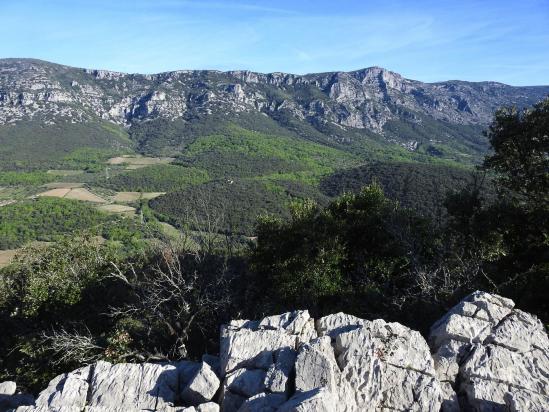 La Séranne vue depuis les crêtes du Roc Blanc