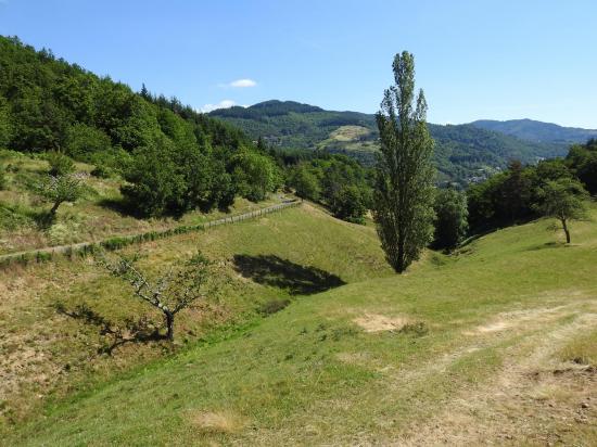 Entre le hameau de Selve et la ferme de Sarméo (Les Combes)