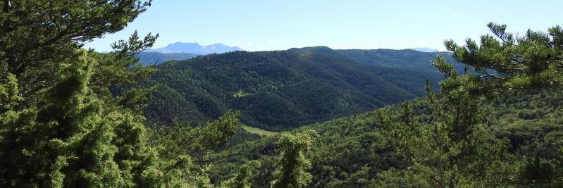 Le vallon du Courenq vu depuis la Serre du Charron