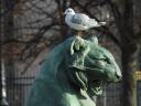 Paris (Jardin des Tuileries)