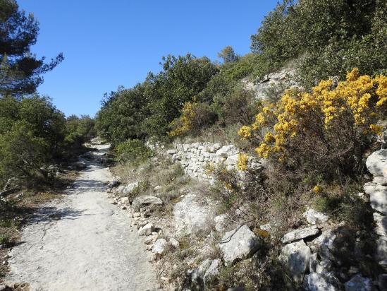 Sur un centier de mémoire à flanc de la vallée du Rieu entre Venasque et Le Beaucet