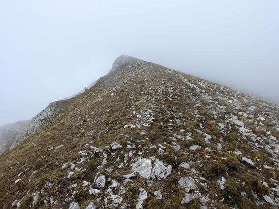 Le sommet du But de Nève (dans le brouillard...)