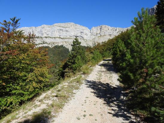 Sur le chemin forestier de Lalier face aux falaises E du plateau d'Ambel