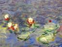 Détail des Nymphéas de Claude Monet