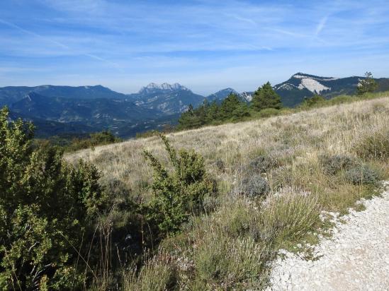 A l'approche du Pas de la Pousterle du côté de l'Adret de Gibière