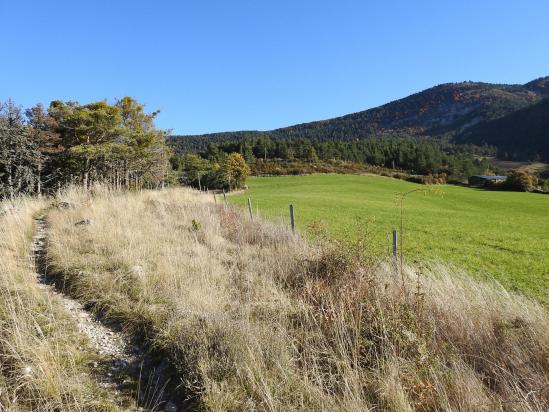 A l'approche de la ferme du Collet