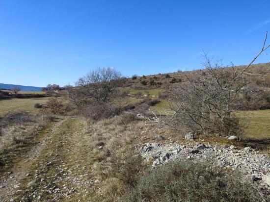 Sous le Serre Bourret entre Linte et les Véoux