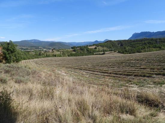 Panorama vers l'E depuis la ferme de Rattier