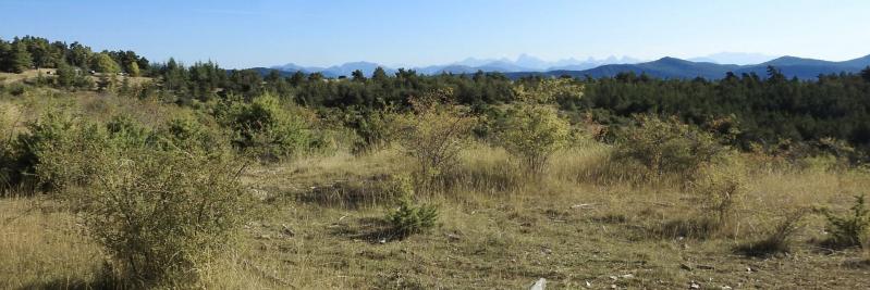 Le Dévoluy vu depuis le plateau de l'Assotte