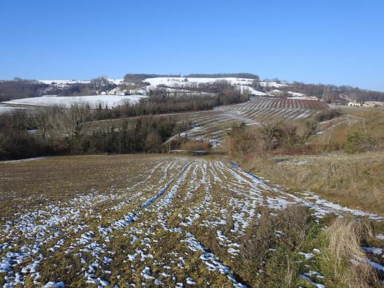 A l'E de Bathernay à l'approche de Champ Guinot