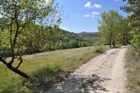 Remontée du vallon du ruisseau de Chabotte