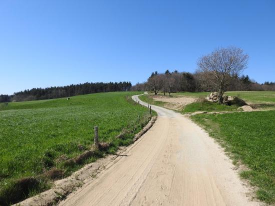 Entre Matras et Fouillouse sur le Serre du Turc