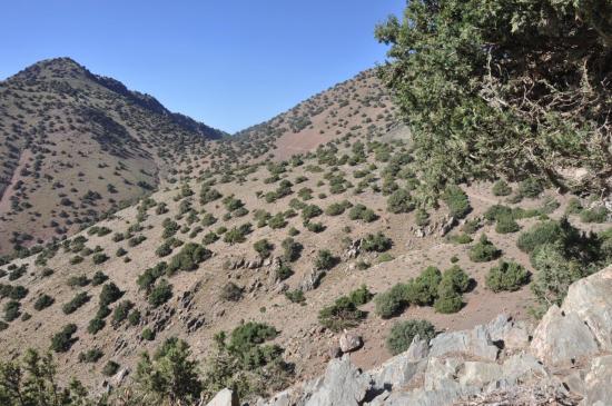 Descente du tizi Mzic vers Tizi Oussem