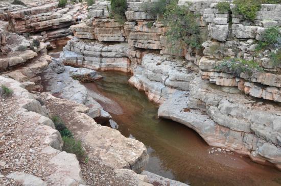 Le canyon rose entre Tamlalt et Tamgalt