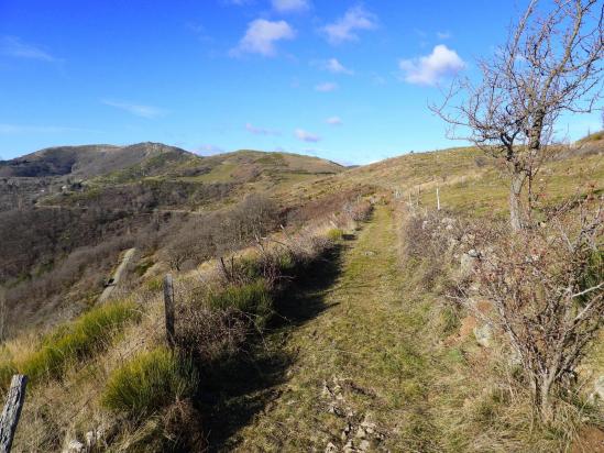 A l'approche du col de Chomelix