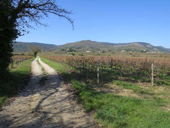 Le sommet de la Croix Juliau vu depuis le hameau des Cordes