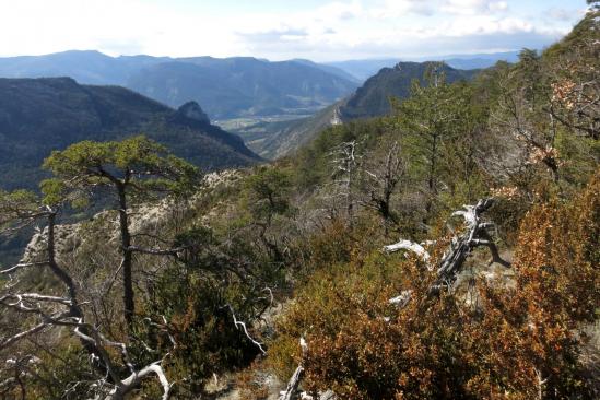 Sur le sentier-balcon entre Le Fays et le col Fauchard