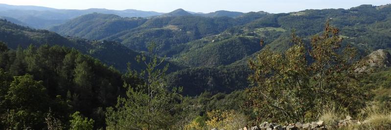 Sur le sentier de montée vers Chalencon