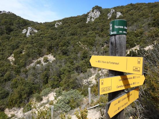 En haut du ravin de Fontamauri