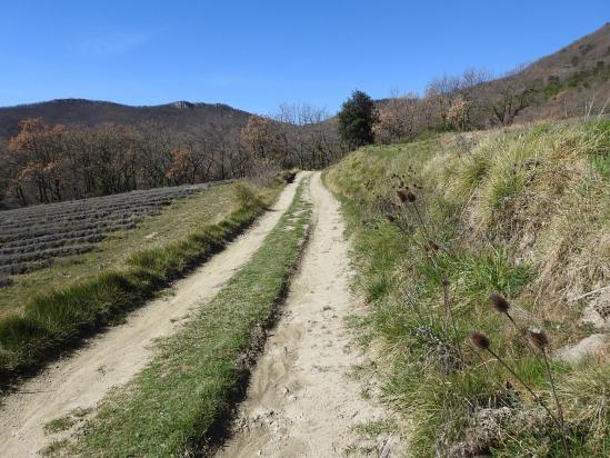 A l'Adret en direction du col de la Croix