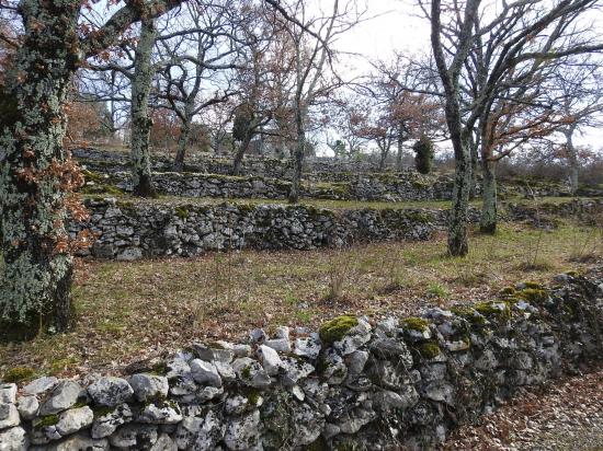 Les terrasses agricoles à Gouylon