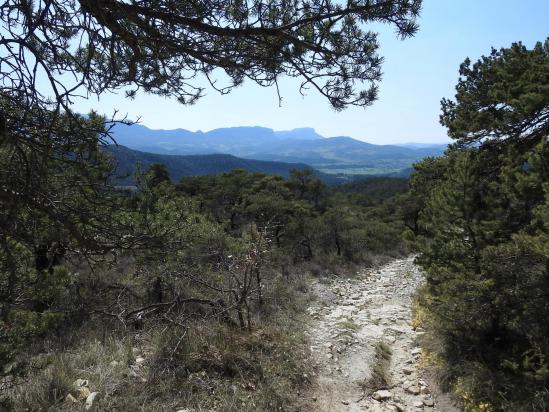 Sur le fil de la crête à la descente du Serre des trois Bornes