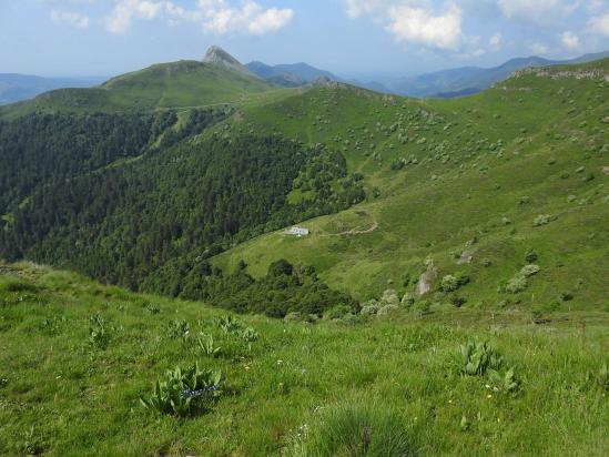 Le Puy Griou et le col de Rombière vus depuis le sommet du Téton de Vénus