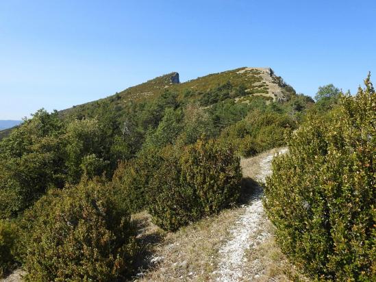 Entre le Ranc de l'Aigle et la montagne de Tarsimoure