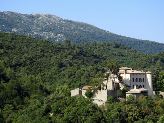 Le château de Vauvenargues