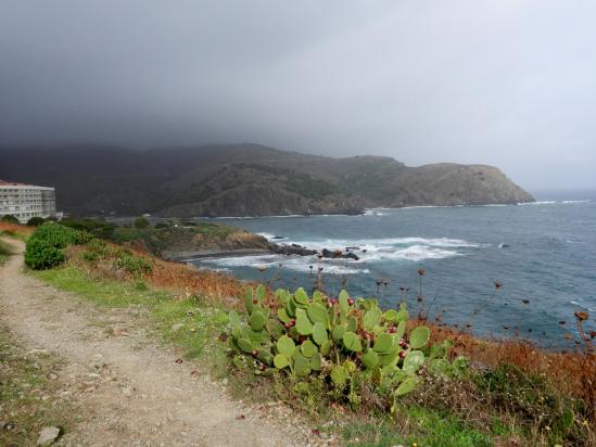 Sur le Cap de Peyrefite