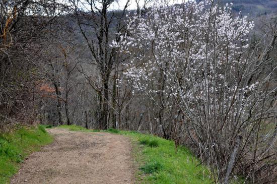 A l'approche de Saint-Sylvestre