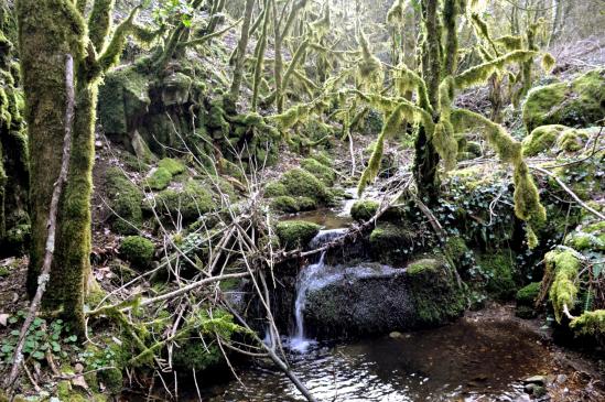 Entre Magerouan et Mauves, l'incroyable moment de la traversée du ravin du Fonloc (un petit air de l'Île de la Réunion ?)