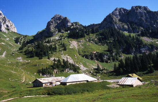 Le Pas et la Pointe de la Bosse dominent le vallon de Bise