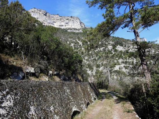 Le long du canal du côté du Mas du Pont