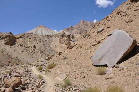 Dans la montée vers le Charangtse La