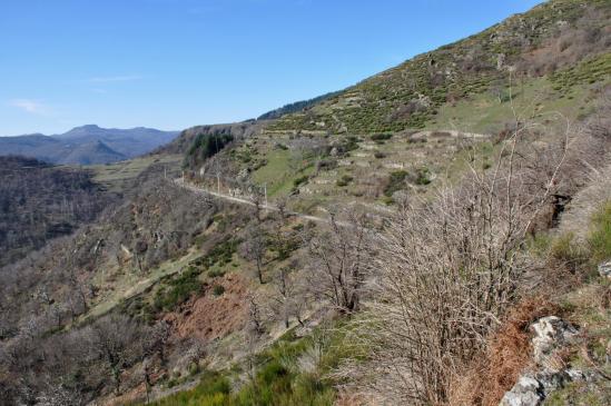 Sur le sentier de liaison entre Le Chier et le col de Chomelix