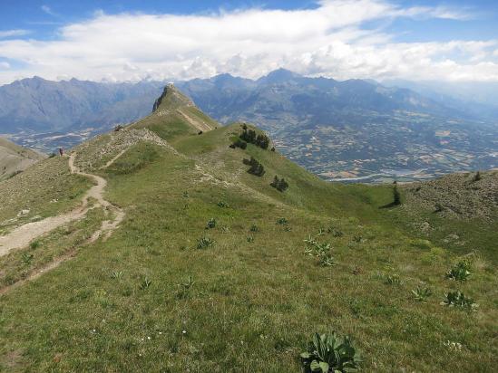 Le pic de l'Aiguille et le Champsaur vus depuis la crête N du pic de Gleize