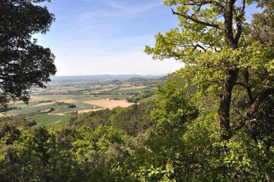 Sur la piste entre Marsanne et le col de la pierre sanglante