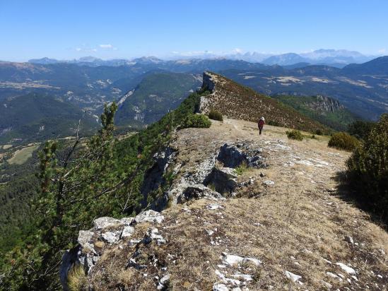 A l'approche du sommet de la montagne de Tarsimoure (au fond, le massif du Dévoluy)