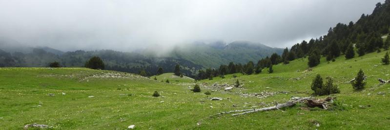 Descente de la Montagnette vers la cabane de l'Essaure